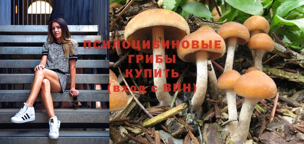 герыч Абинск