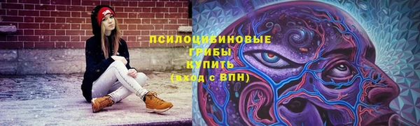 стаф Абаза