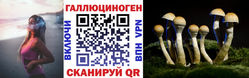Псилоцибиновые грибы прущие грибы  магазин    MEGA ссылка  Владимир 